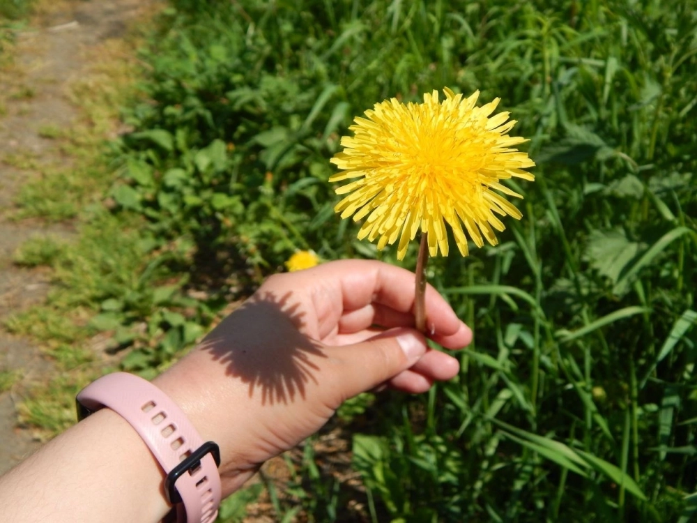 С самого раннего детства девушка привыкла наблюдать за растениями и животными.