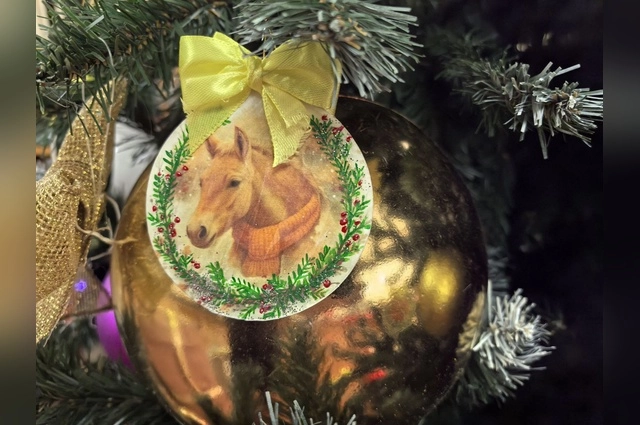 Ёлка желаний