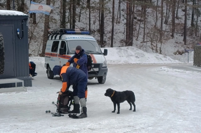 В поисках задействованы собаки-ищейки.