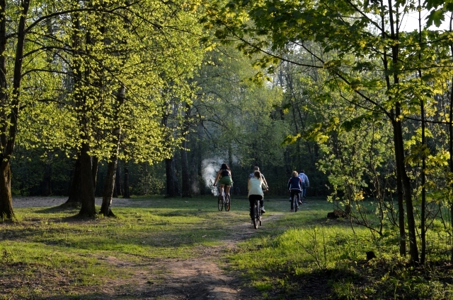 Костры и шашлыки в Реадовском парке не редкость