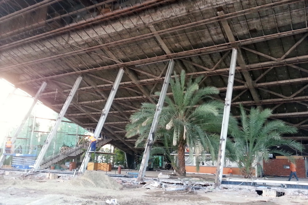 Пальмы в развороченном здании.