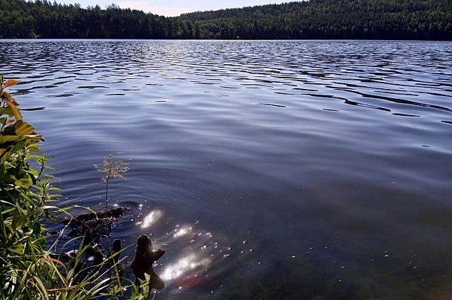 28 сентября не следует находиться у водоёмов.