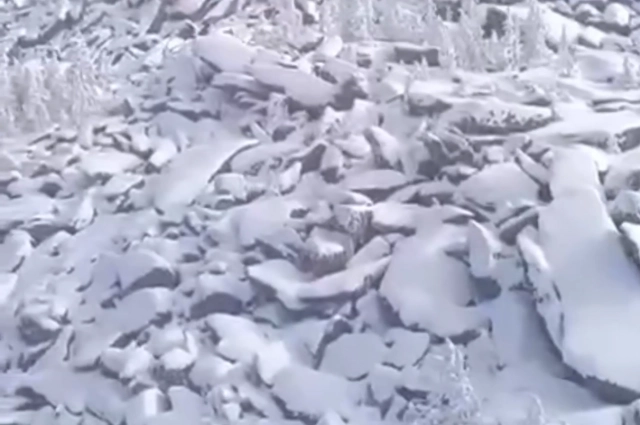 В условиях заснеженной тайги поиски вести очень трудно