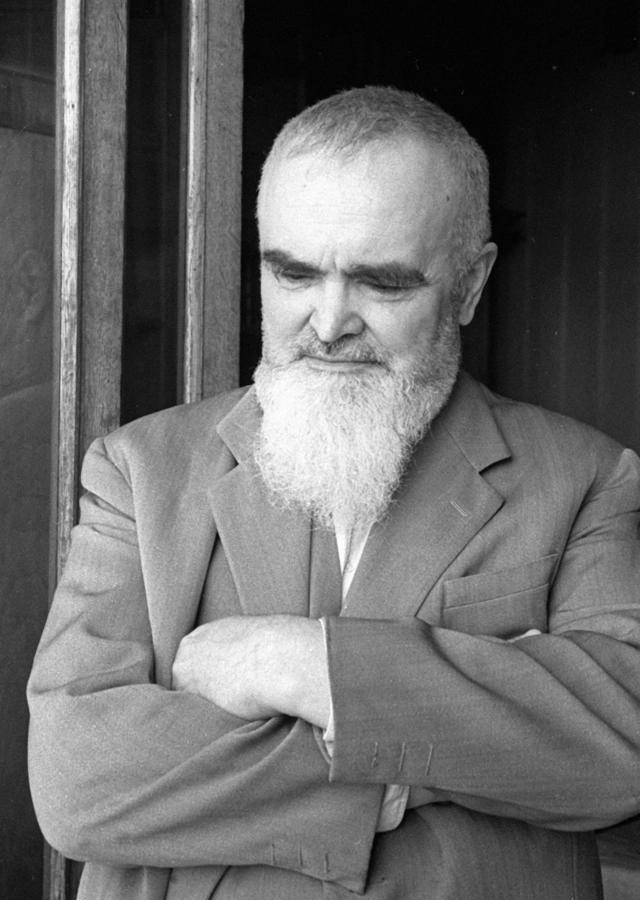 Член-корреспондент Академии наук СССР, археолог Артемий Арциховский.