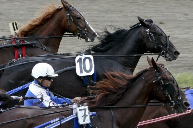 Из-за аферы руководителей ипподрома уволили со скандалом.