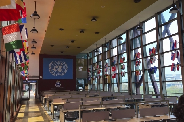 Библиотека в студенческом городке.