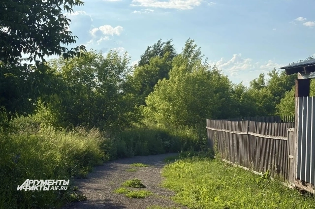 С другой стороны от дома преступника — тупик, уходящий в заросли.