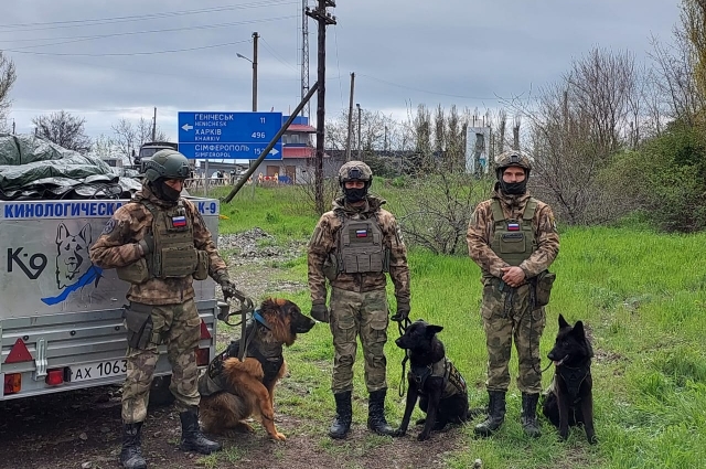 Эти собаки из Иркутской области попали на СВО.  