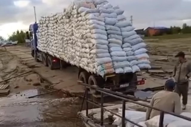 Фура с шишками в Приобье. 