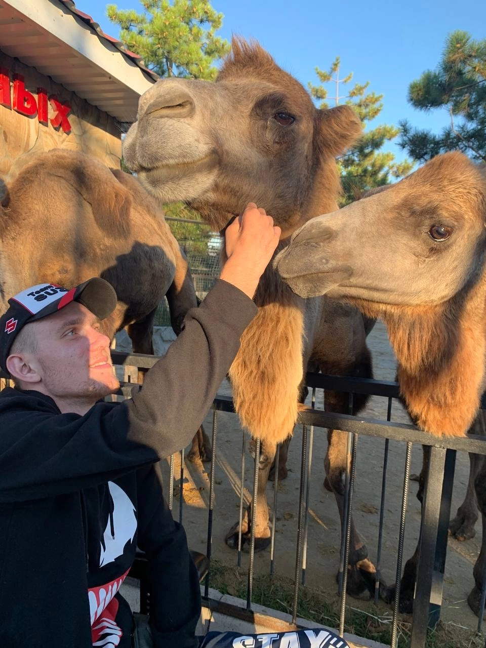 Андрей Бабинский.