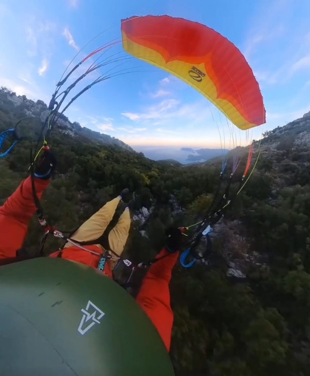 Та самая запись, где спортсмен «встретил дерево».