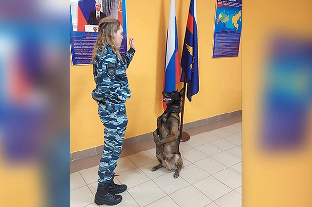 Ямато и Дарья.