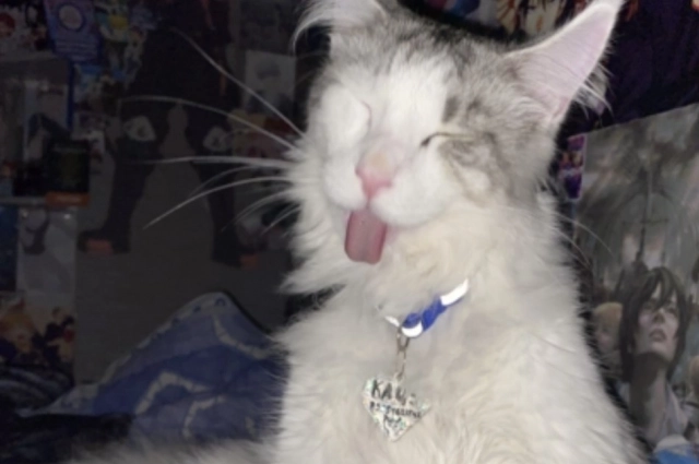 Иногда важно просто порадоваться