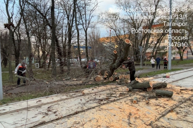 Упавшие деревья в Таганроге.
