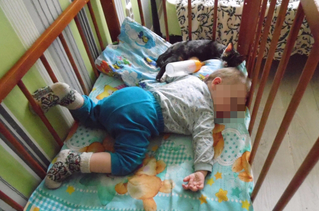 Дети любят спать вместе с домашними животными.