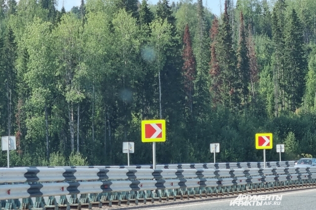 Уничтожить жука не удаётся. 