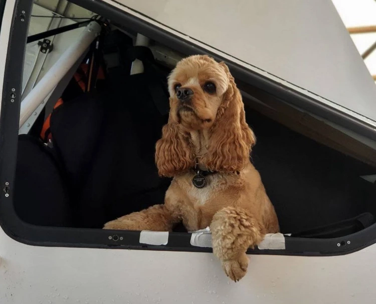 Фото: t.me/boreyaircraft  Читайте на WWW.TOMSK.KP.RU: https://www.tomsk.kp.ru/daily/27729/5118750/