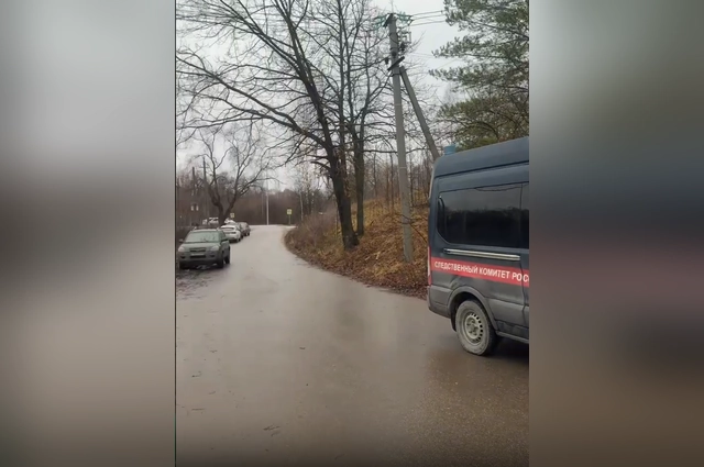 Стаю собак изловили лишь после трагедии.