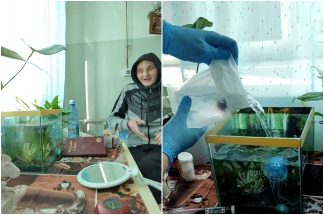 Для рыбки создали лучшие условия