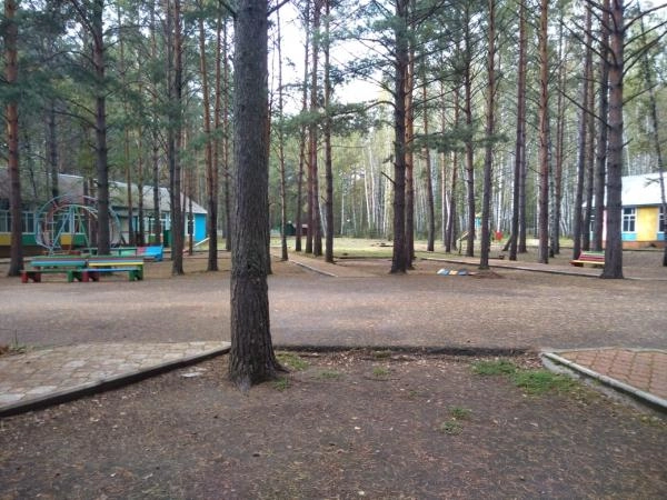 Лагерь отвечает своему названию - расположен в сосновом бору.