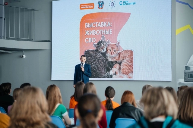 На выставке «Животные на СВО».