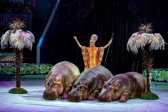 Фотоархив шоу продюсерского центра Гии Эрадзе «Песчаная сказка»