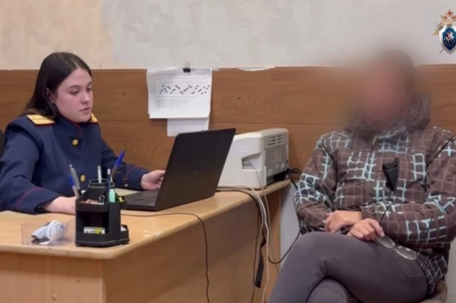 Глава приюта-подрядчика Ирина Музыка оказалась в СИЗО.