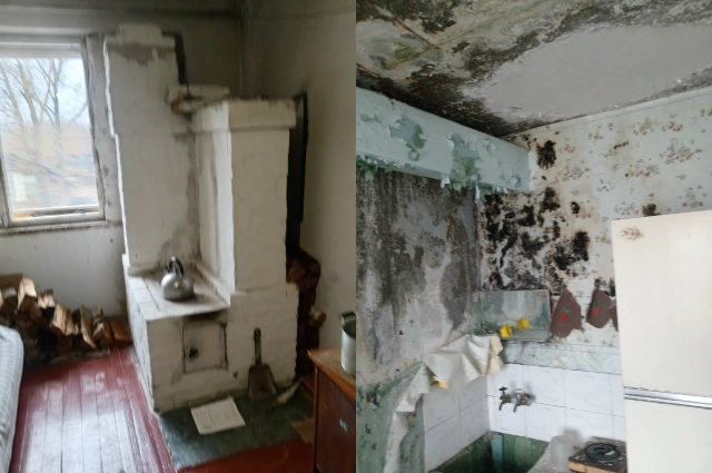 Стены квартиры в саже, плесени и грибке. 