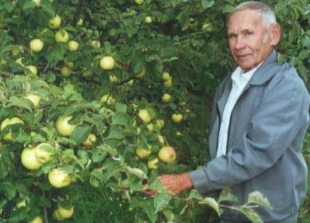 Селекционер Александр Астахов.