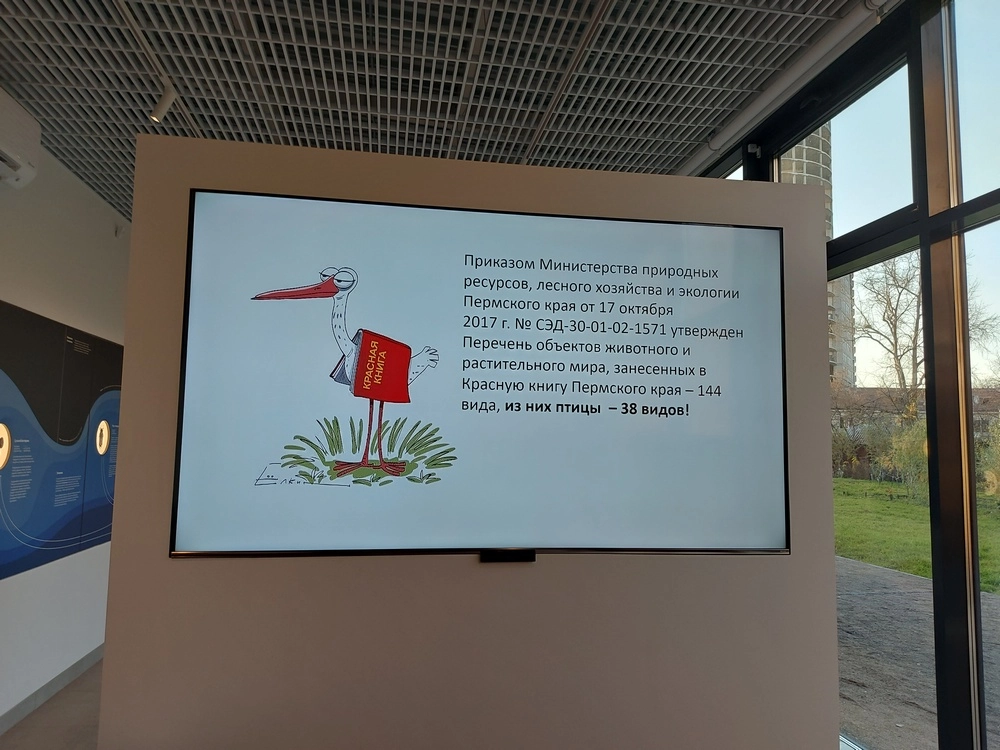 Галина Матвеева в визит центре Данилиха с презентацией