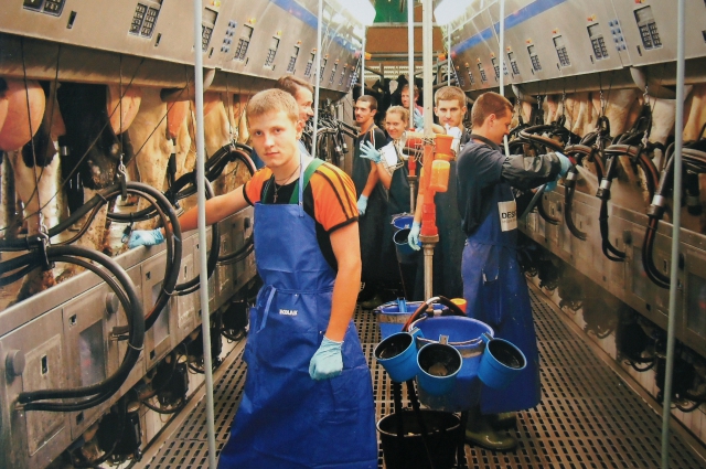 Студенческая практика на молочной ферме в Германии.