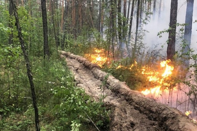 Пожар в окрестностях Якутска удалось локализовать в течение суток