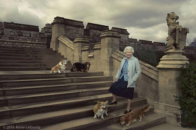 Королева Елизавета II с корги, 2016 год.