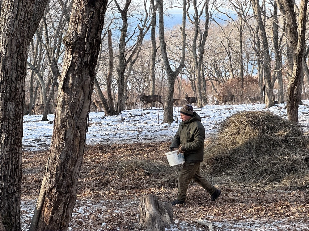 За животными пока еще ухаживают и присматривают, но что с ними будет, если договор будет расторгнут.