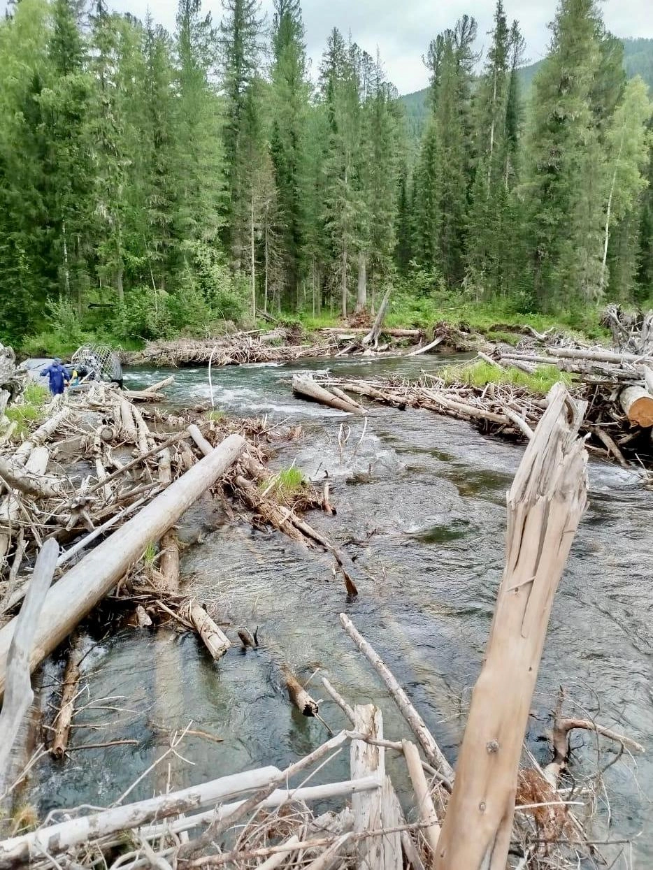 Бурная река бывает очень опасна.