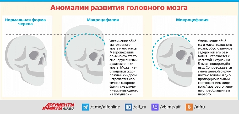 Нажмите для увеличения.