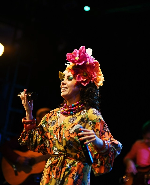 Яркий сценический образ певицы.