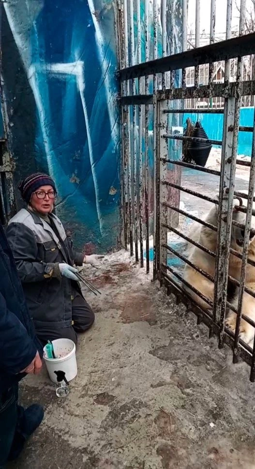 Екатерина много лет заботится о животных.