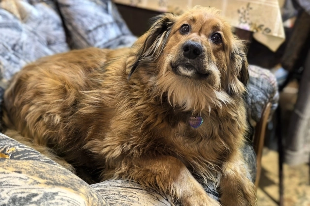 Лиза пережила несколько операций после ДТП.