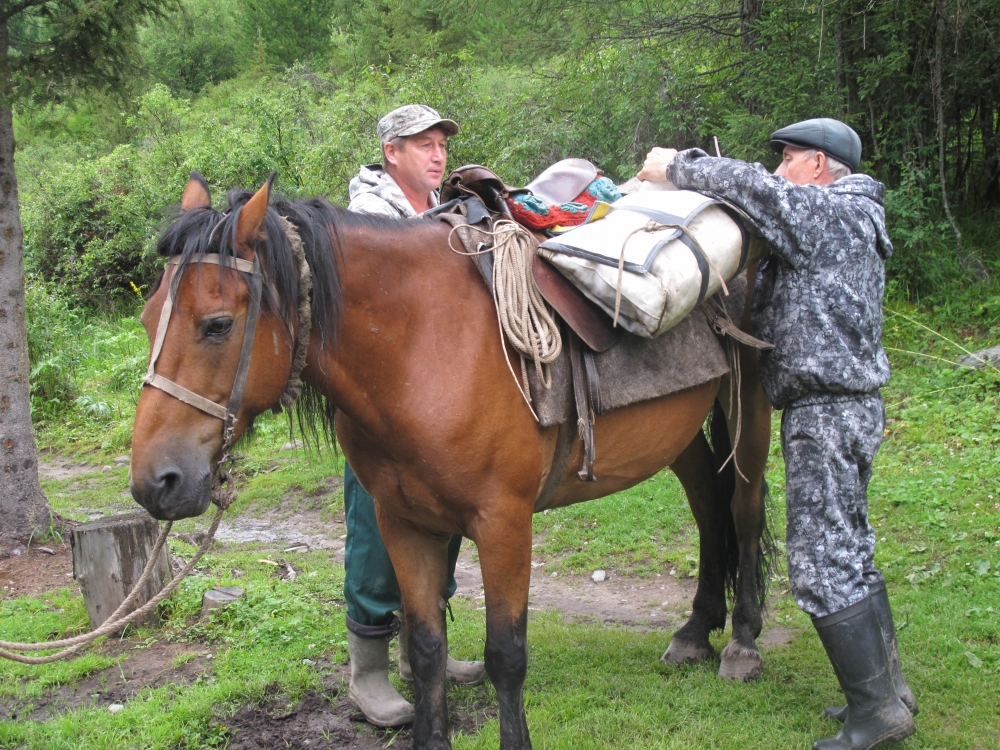 Госинспекторам помогают лошади