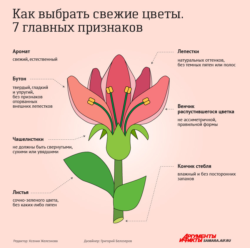 Как выбрать свежие цветы