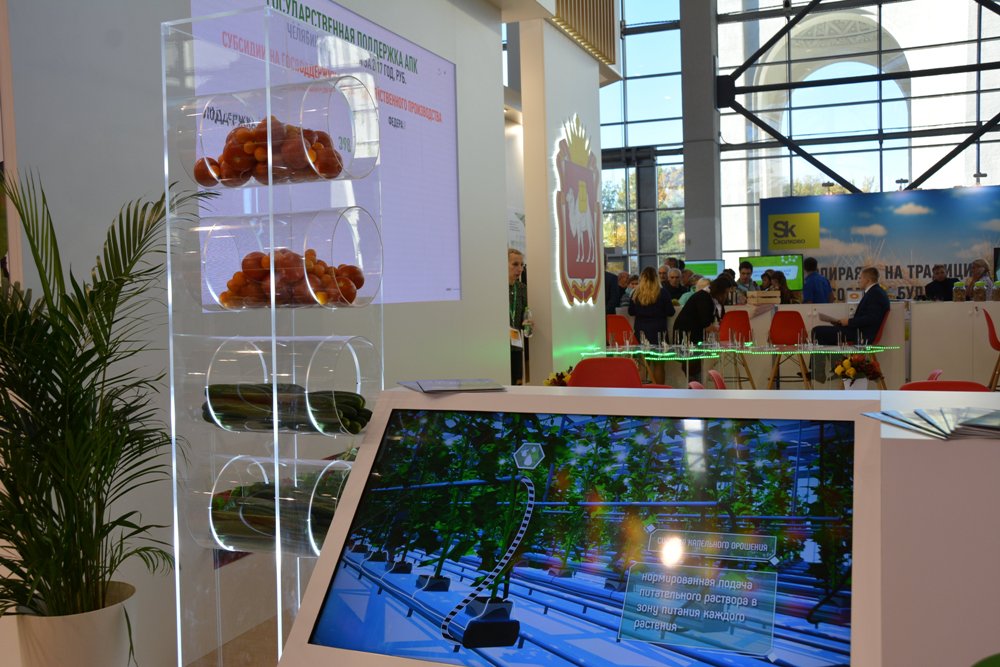 Посетители выставки познакомились с технологиями выращивания овощей в южноуральских хозяйствах.