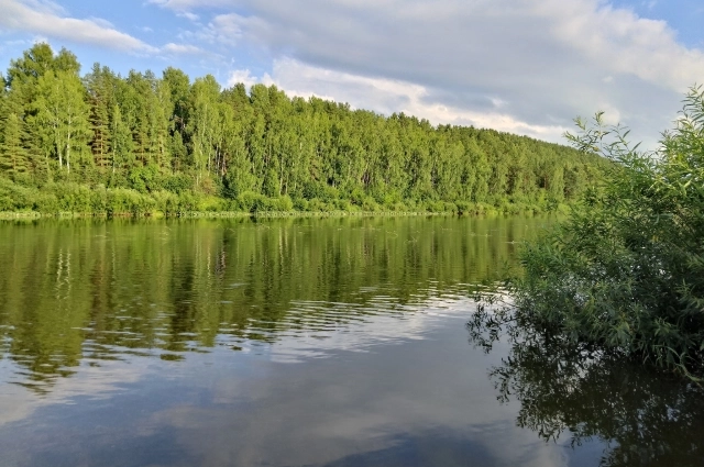 Ширина реки в этом месте около 100 метров