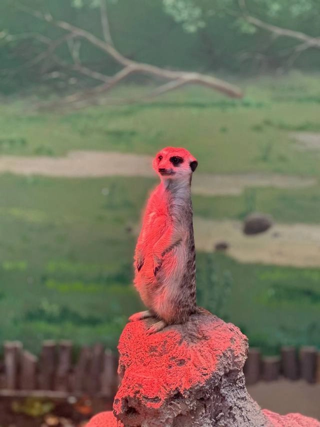 Казань туризм