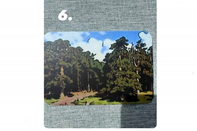 Летний лес - Усольцевых найдут, когда будет тепло?