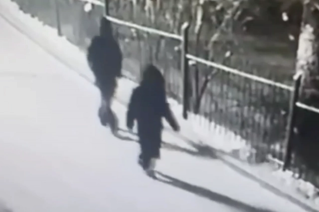 Кадры из дачного поселка, откуда ушли подросток и 18-летняя девушка.