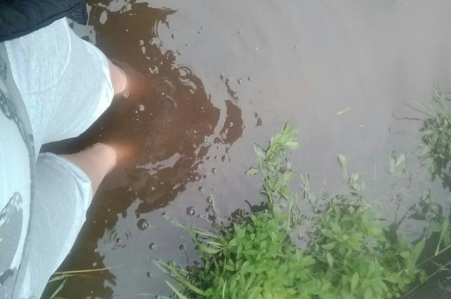Местами вода покрывала колеса машин. Единственные, кто остался в плюсе после потопа, это пернатые обитатели водоемов. Ареал их существования значительно расширился 