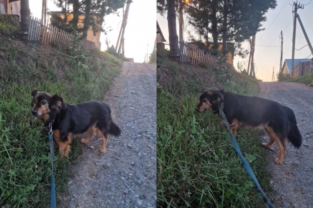 Сейчас Маша выглядит так.