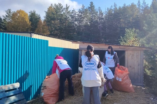 Волонтёры ВИЗ-Стали провели акцию помощи приюту для животных