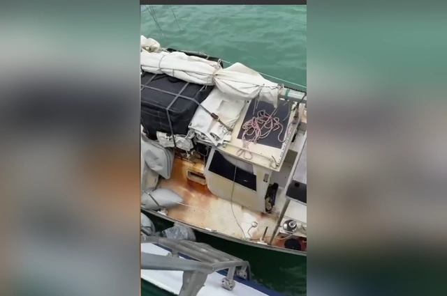 Циммерману грозит пять лет колонии.